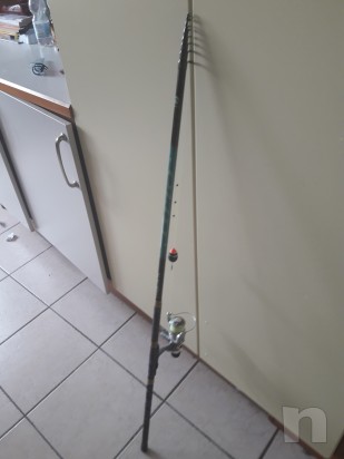 Canne trota lago foto-24373