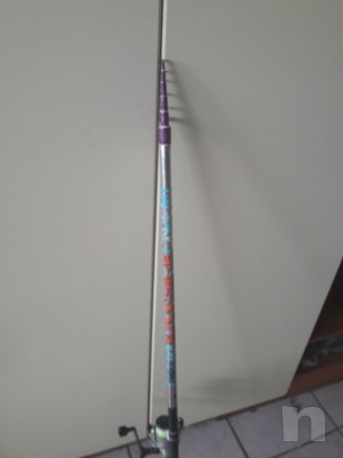 Canne trota lago foto-24372