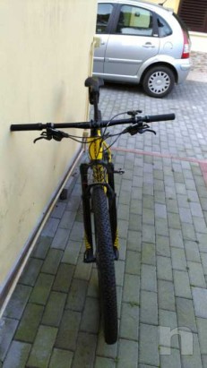 Mtb 29 pollici in carbonio FOCUS foto-24641