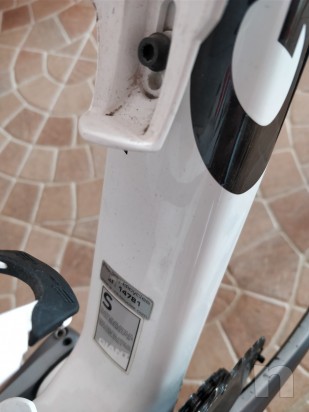 Bici da corsa foto-24691