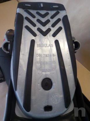 pinne sub mares foto-24802