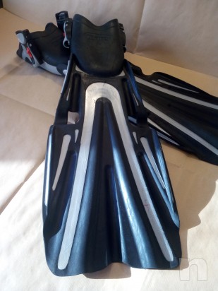 pinne sub mares foto-13246