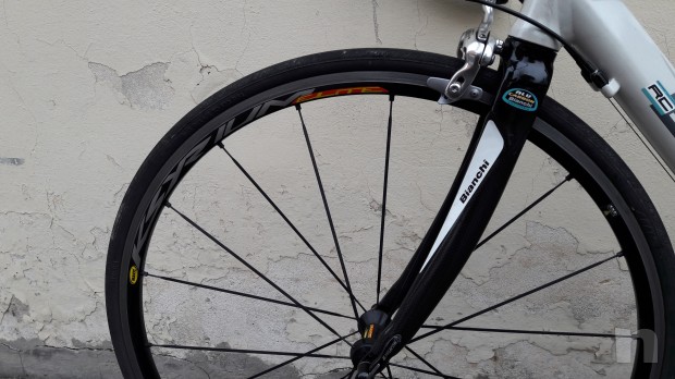 Bianchi foto-24836