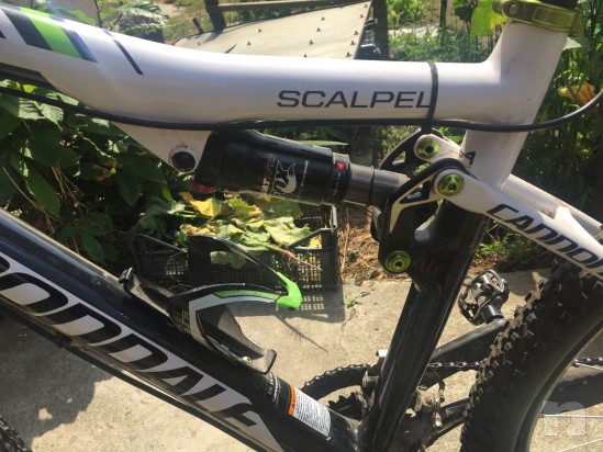 Cannondale Scalpel carbon foto-24882