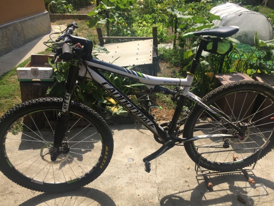 Cannondale Scalpel carbon foto-13280