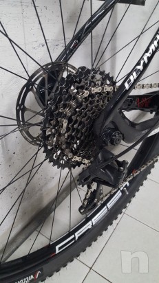 Olympia Csl-X two 29 anno 2015 foto-24903