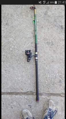 Canna Mitchell 280 cm foto-13300