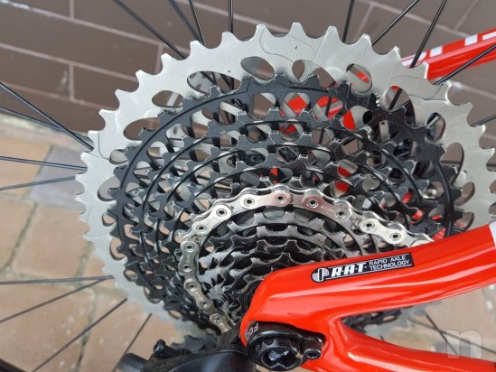 Focus Raven Max Team 2018 (NUOVO) foto-24966