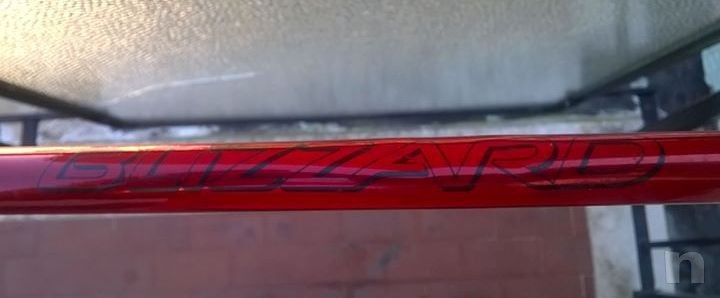 Bastoni Trekking/Sci foto-25156