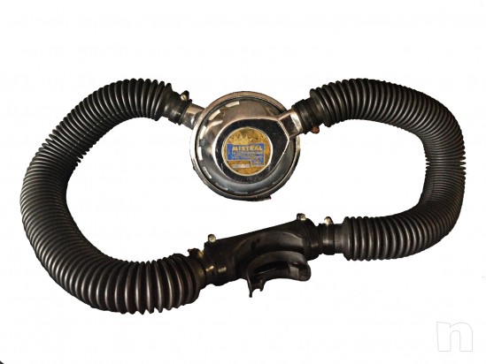 Royal Mistral foto-13453