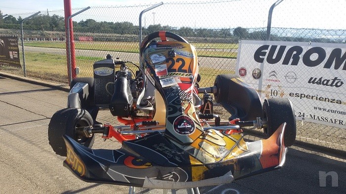 Go Kart Rotax Max / Intrepid Raptor 30/32 foto-1347