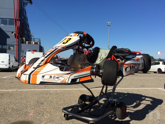 Kart OK1 - Rotax Max Evo foto-13620