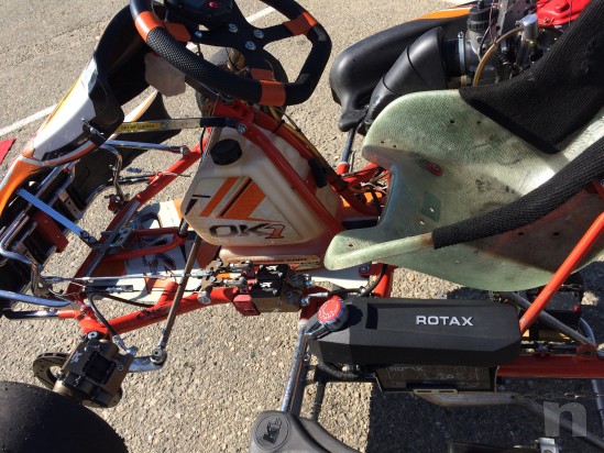 Kart OK1 - Rotax Max Evo foto-25520
