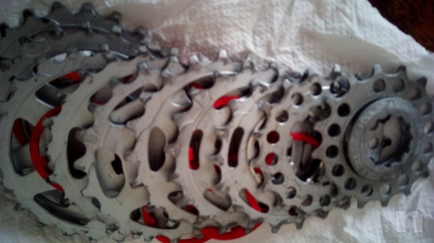 Pacco pignoni foto-13663