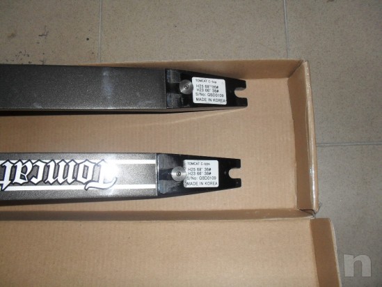 flettenti arco olimpico foto-25714