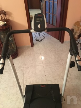 Tapirulan foto-13774