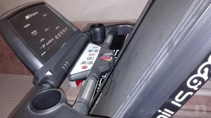 tapirulan foto-25828