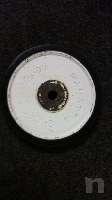 DISCHI PANATTA  foto-13800