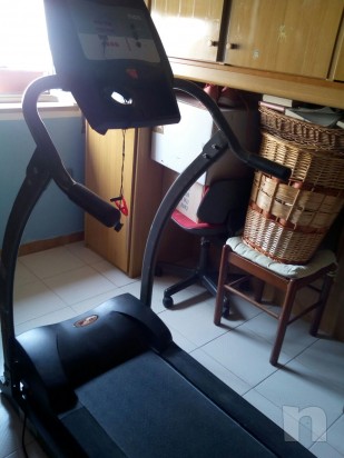 Vendo Tapirulan foto-13811