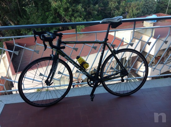 Bici da corsa Focus foto-1384