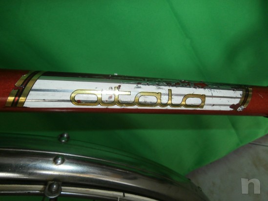 ATALA condorino record de mondo foto-25956