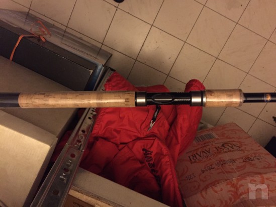 Canna da FEEDER 3,90 Carbon  foto-26112