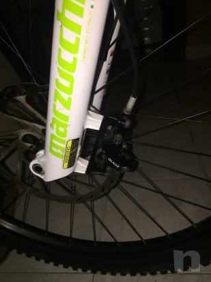 Gt sanction expert 2016 foto-26256