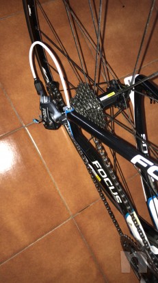 Bdc focus Cayo evo  foto-26325