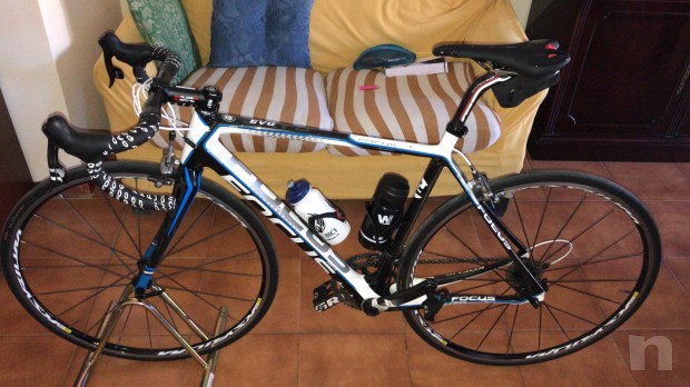 Bdc focus Cayo evo  foto-26322