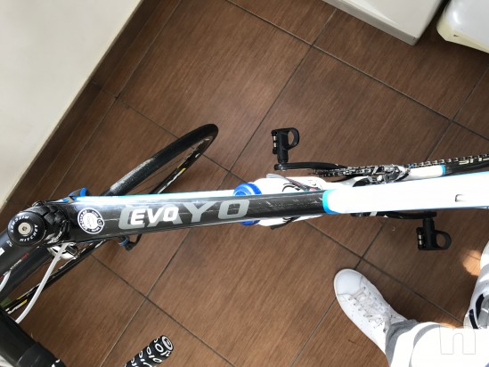 Bdc focus Cayo evo  foto-26323