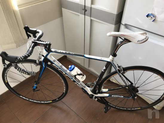 Bdc focus Cayo evo  foto-14031