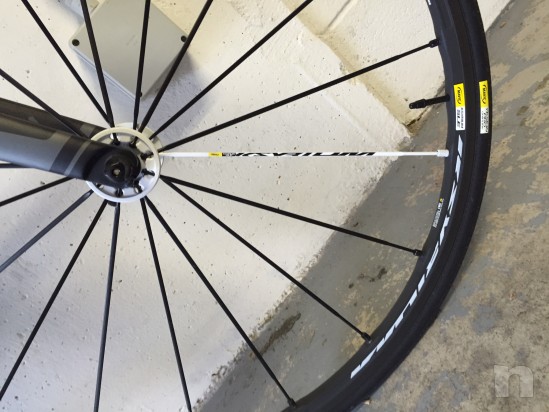 Soecialized tarmac expert 2015 Carbon Tg 52 Di2 foto-2184