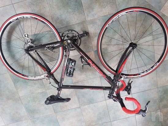 Daccordi carbonio  foto-26450