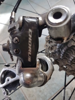 Daccordi carbonio  foto-26453