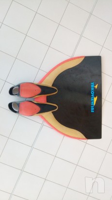 Monopinna foto-14206