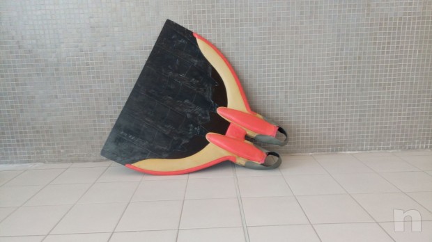 Monopinna foto-26723