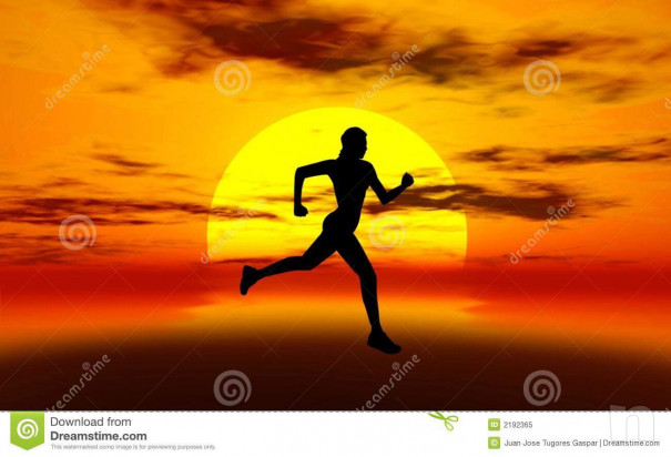 Garmin 310 foto-27034