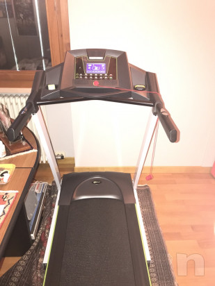 Tapirulan foto-14388