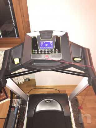 Tapirulan foto-27140