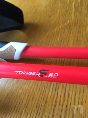 Bastoni per trekking foto-27167