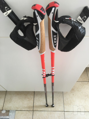 Bastoni per trekking foto-14402