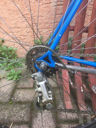 Bici da corsa Maddalena cambio campagnolo  foto-27173