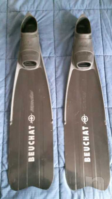 Muta SEAC + pinne BAEUCHAT foto-27205