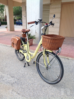 Vendo Bicicletta pedalata assistita  foto-27362