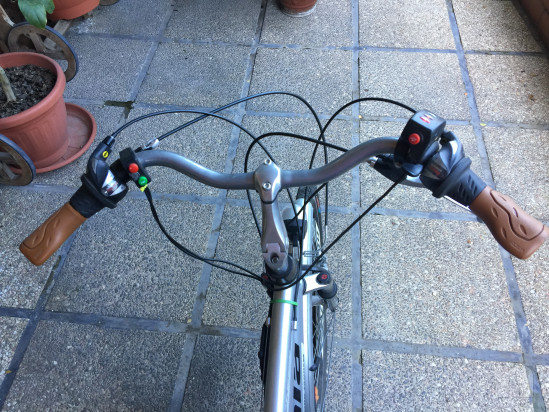 Tandem elettrico foto-27408