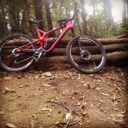 Trigger Carbon 2 foto-2268