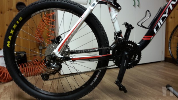 Olimpia brave  foto-2275