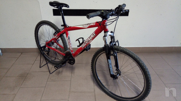 Mountain bike donna/ragazzino foto-14591