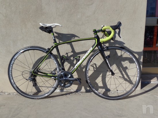 merida scultura team foto-1463