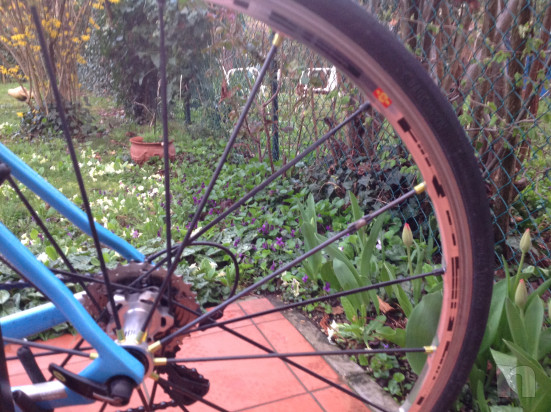 Occasione Colnago clx 2017 foto-27658